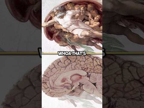 Joe Rogan on the Hidden Meaning Behind Michelangelo’s Art #shorts