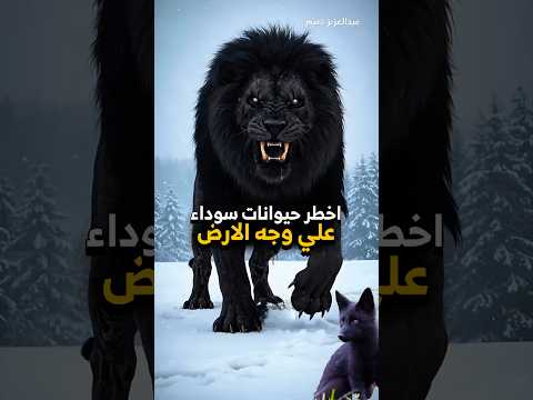 أخطر حيوانات لونها أسود على كوكبنا! 💀🐊🐺