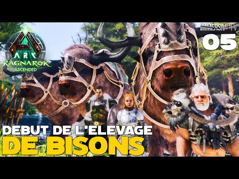 Premier Taming Et Elevage de BISONS 🦬🦬 ARK RAGNAROK Ascended [05]