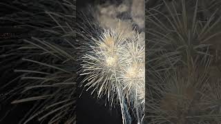 Internationaler Feuerwerkswettbewerb 2026 🇩🇰 | Team Dänemark – Teil 9 🎆