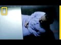 Interrogation Techniques and Insights