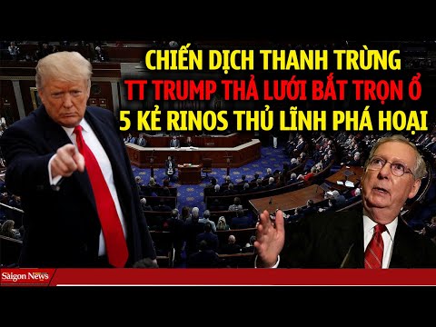 CHIẾN DỊCH THANH TRỪNG ĐẶC BIỆT: TT Trump thả lưới bắt trọn 5kẻ RINOS cầm đầu phá hoại Đảng Cộng Hòa