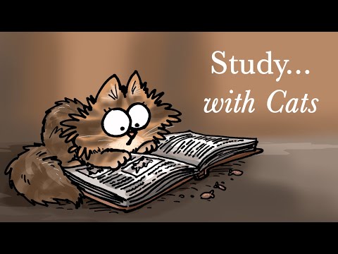 Simon's Cat Lofi | 40 mins | Focus Music to Work and Study 🐾