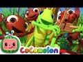 Ant and Grasshopper Story Lessons