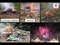 Environmental Pollution and Its Effects