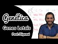Genetics: Lethal and Dominant Genes