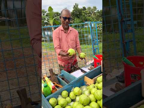 মাহাবুর কাকার স্পেশাল পেয়ারা মাখা ♥️#youtubeshorts #youtube #viral #viralfood #foryou #food