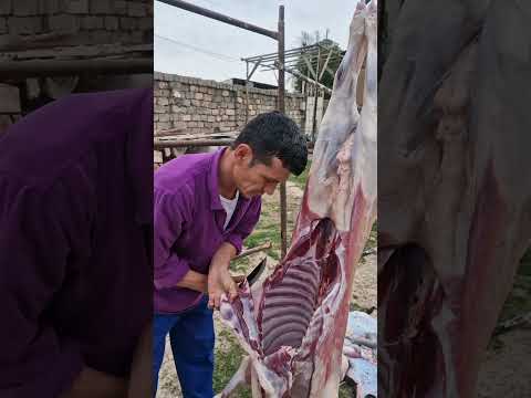 #arashan #meat #food #sheepworld #bbq #lambs #goat #animals