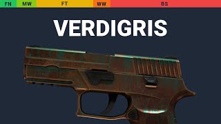 P250 Verdigris Wear Preview