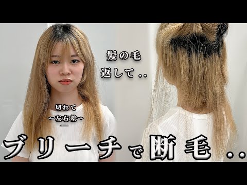 【大絶望】ブリーチで断毛した髪へのヘアケアの極意！ロングヘア→涙の刈り上げショートに..？！