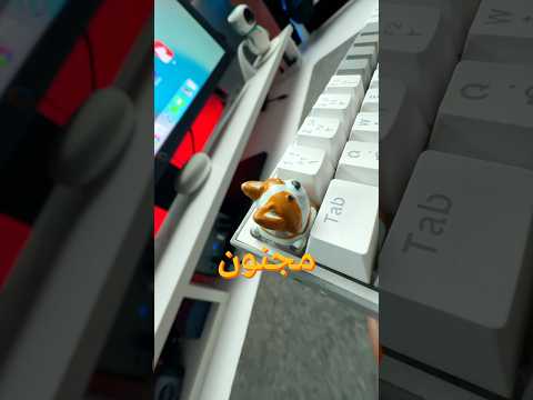 اجمد اختراعات للسيت اب 🤩 | افضل كيبوردات للكمبيوتر 🖥️