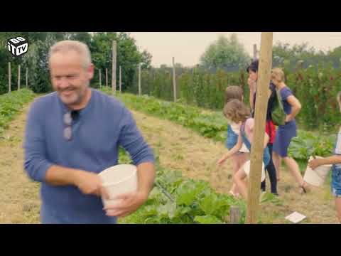 Le jardinage écologique | Mon jardin