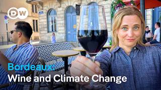 YouTube video thumbnail: Bordeaux: How Climate Change Is Threatening a Famous Wine Region