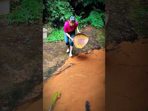 Awesome Survival Skills: Innovative Method of Fishing Water in Extreme Winter Technich Conditions