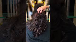 Hair Complete theory | Farah salon |