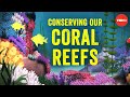 Marine Conservation and Connectivity Challenges