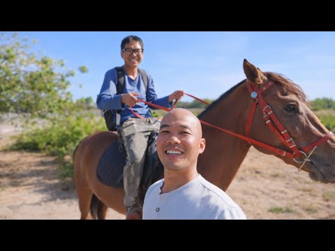 HÔM NAY TRANG TRẠI CHUẨN BỊ CÓ THÊM 1 THÀNH VIÊN MỚI 🐎 | CUỘC SỐNG NÔNG DÂN