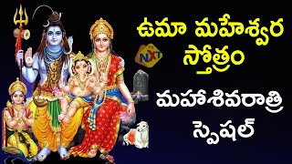 Uma Maheshwara Stotram | ఉమా మహేశ్వర స్తోత్రం | 2025 Maha Shivaratri Songs | TVNXT Devotional