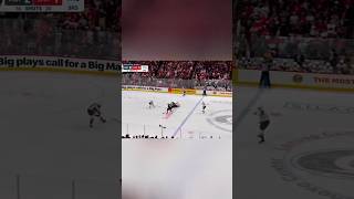 NHL Playoffs #sports #hockeymemes #nhl #hockey #nhlmemes #finals