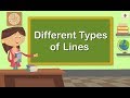 Types of Lines in Geometry