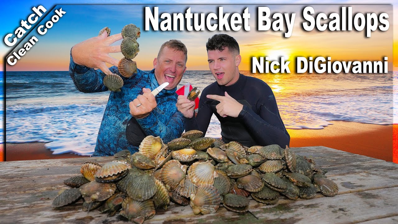 Succulent Scallops Cooked on the Beach! Catch Clean Cook Ft. Nick DiGiovanni