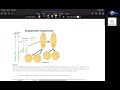 Genetic Modification and Biotechnology Concepts