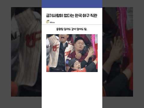 금기사항이 없다는 한국 야구 직관 ㅋㅋㅋ