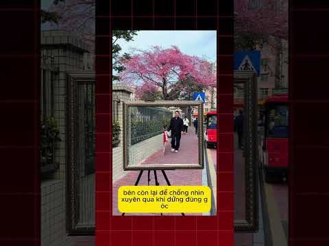 Khi tranh vẽ hòa tan vào thiên nhiên