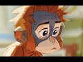Rang-tan's Forest and Human Impact