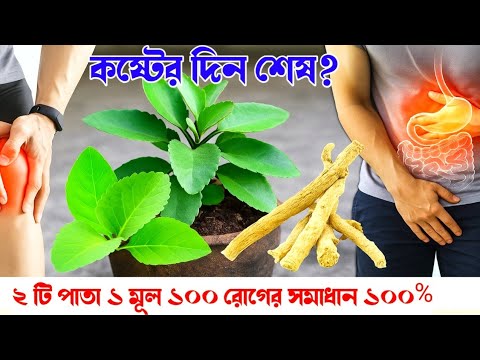 সেক্সুয়াল দুর্বলতা, কিডনি পাথর, গ্যাস—৩ টি পাতায় মিলবে সব সমস্যার সমাধান!