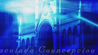 Holy Rosary From Lourdes - 2025-08-16