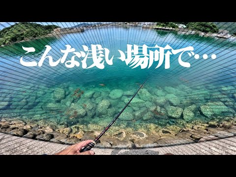 超浅場特化のルアーがスゴいと聞いて、試しに投げてみたら…岩陰から大型のアイツが飛び出してきた件。