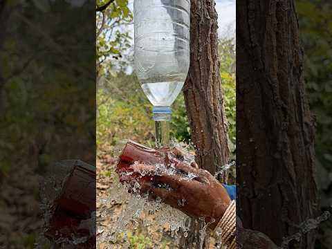 Survival Skills: Mom shows how to make 100% safe soap and water in the jungle #Camping