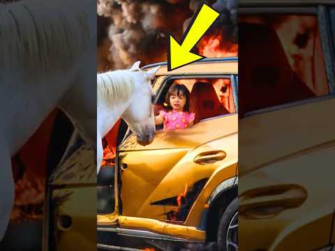 Heroic Horse Rescues Screaming Baby from Burning Lamborghini – Unbelievable Rescue! 🐴🔥🚗