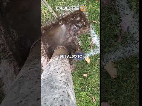 Shovel Vs. Pressure Washer (Shocking Statistics)