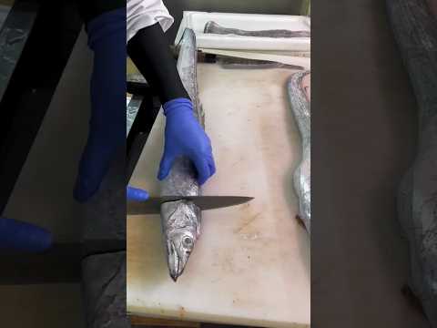 Suri fish cutting /Allha ar sathe soitan ar challenge #waz #shortvideo #fish #wazbangla #shortvideo