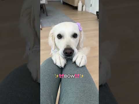 Why do People Think Lady is a Boy?