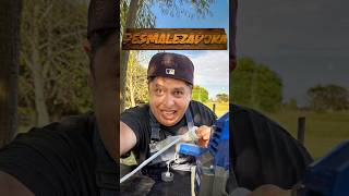 Tu desmalezadora Pierde nafta?! 😱 Nunca hagas esto! 🤓 Rodri Rodríguez #mecanica  #desmalezadoras