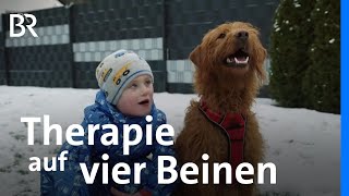 Assistenzhunde: Große Hilfe, schwierige Finanzierung | STATIONEN | BR