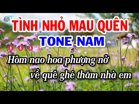Karaoke Tình Nhỏ Mau Quên Tone Nam Dm | Nhạc Sống Mới | Tuấn Kiệt