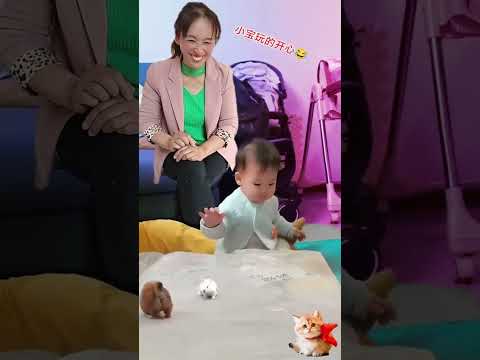 Puppy doll and puppy kitten have fun