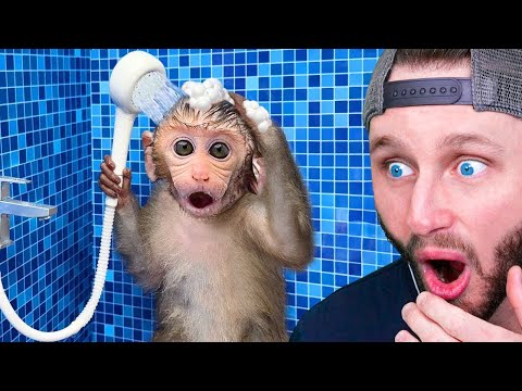 World's Smartest Animals