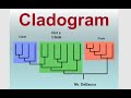 Cladistics and Phylogenetic Classification