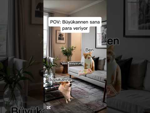 Pov: büyükannen sana para veriyor.