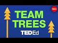 Collective Action for Climate Solutions