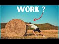 Understanding Work in Physics