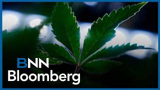 YouTube video thumbnail: Canopy Logs 68% Year-Over-Year Revenue Growth in International Segment
