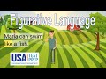 Figurative Language Concepts and Examples