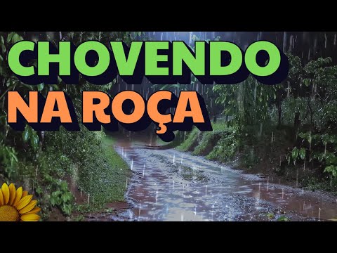 O BARULHO Mais RELAXANTE de CHUVA com TROVÕES para DORMIR
