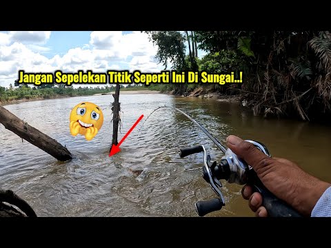 TUNGGAK KAYU MENJADI SARANG IKAN HAMPALA || MUDAH NYA MNACING IKAN TEPAT DI SARANG NYA